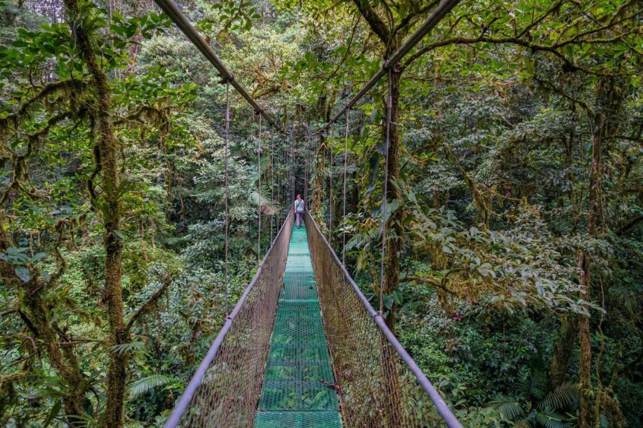Heliconias Rainforest Lodge 비자구아 외부 사진