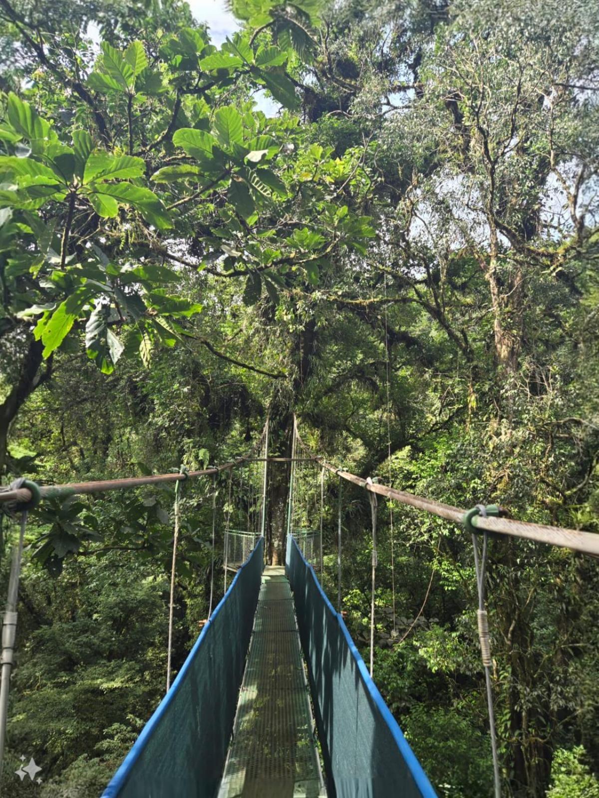 Heliconias Rainforest Lodge 비자구아 외부 사진