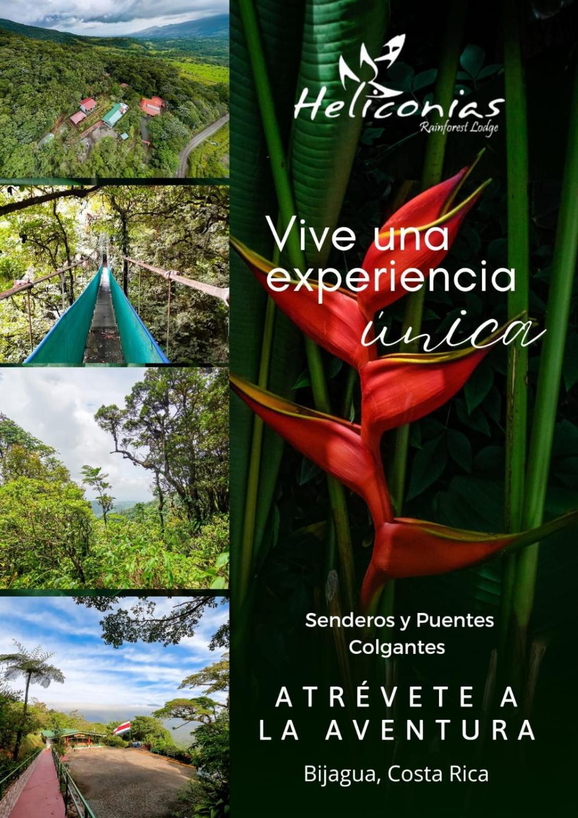 Heliconias Rainforest Lodge 비자구아 외부 사진