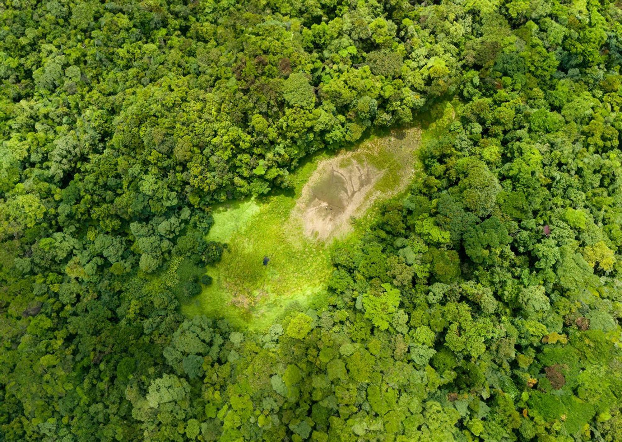 Heliconias Rainforest Lodge 비자구아 외부 사진