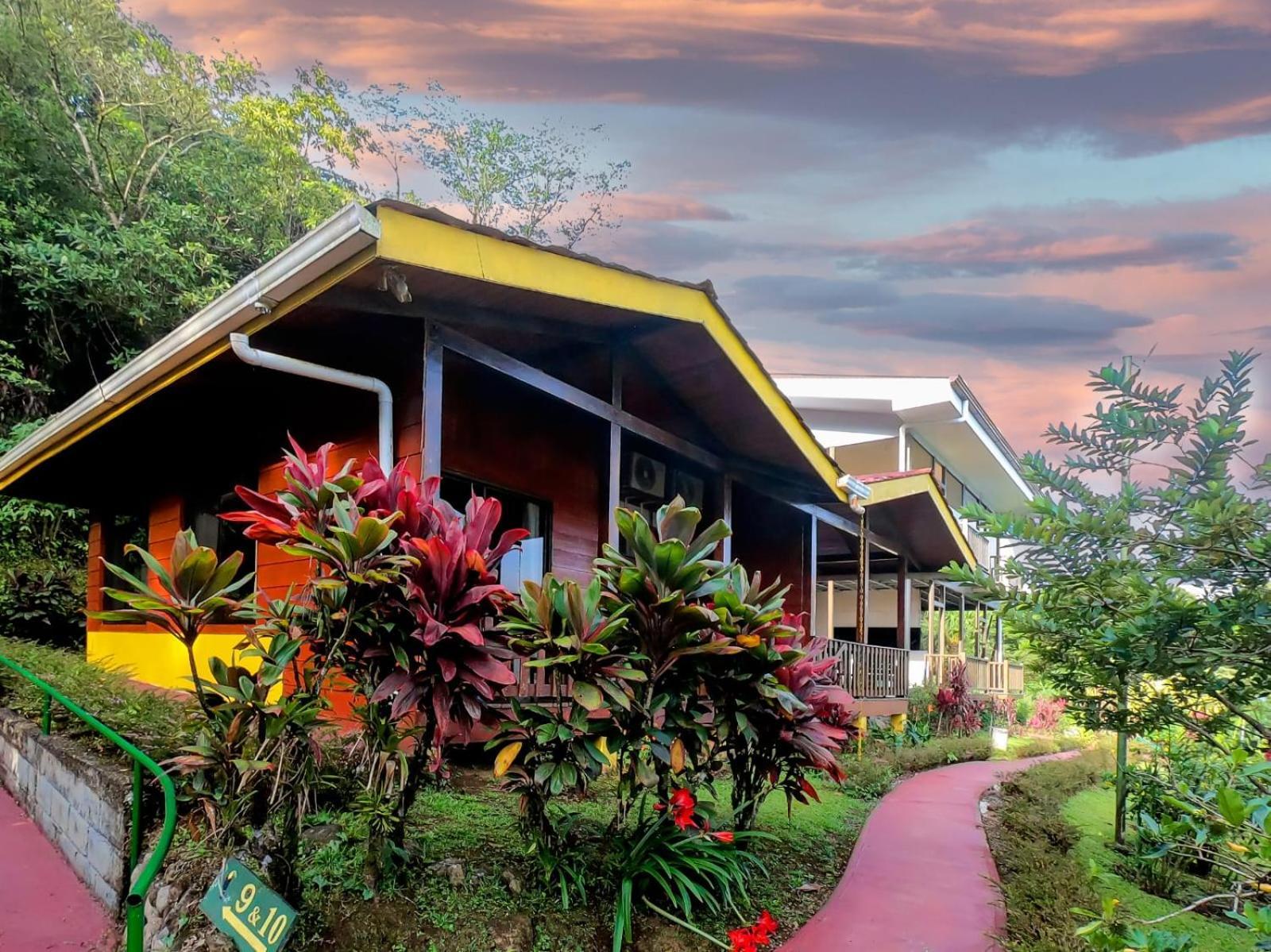 Heliconias Rainforest Lodge 비자구아 외부 사진