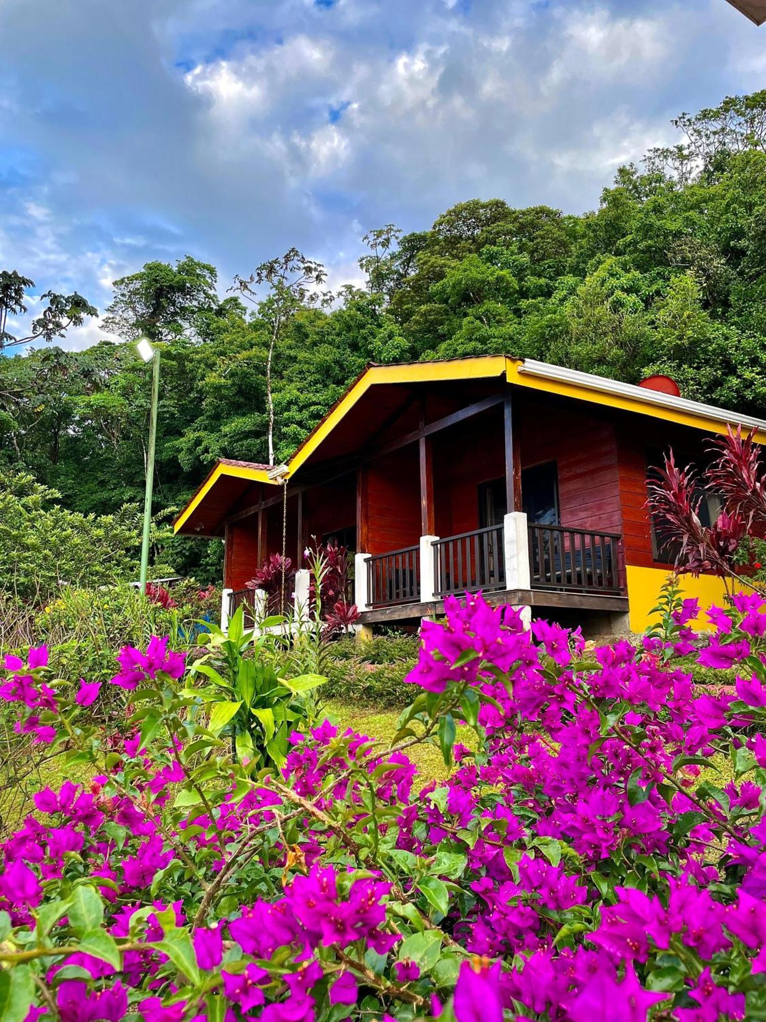 Heliconias Rainforest Lodge 비자구아 외부 사진