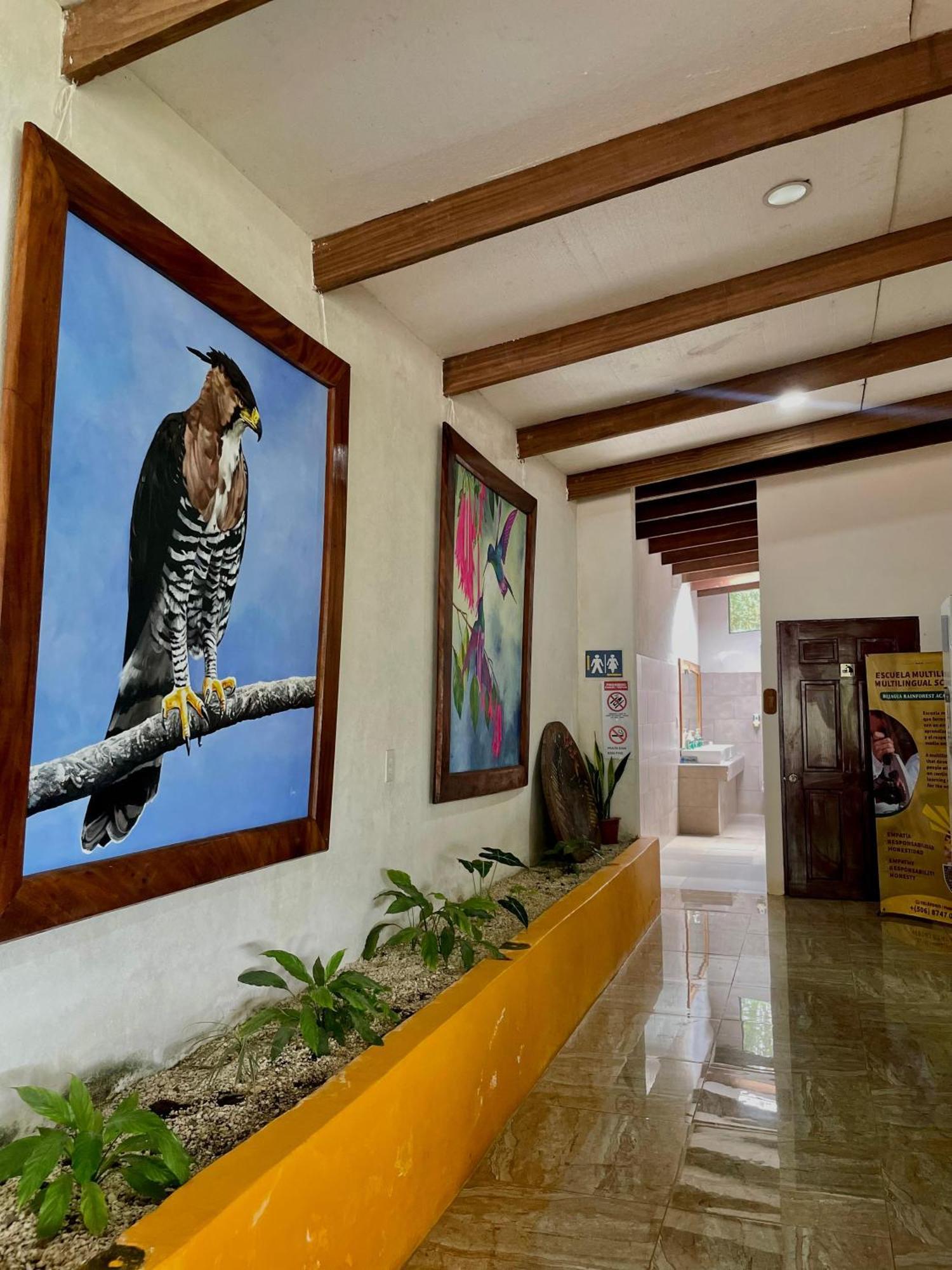 Heliconias Rainforest Lodge 비자구아 외부 사진