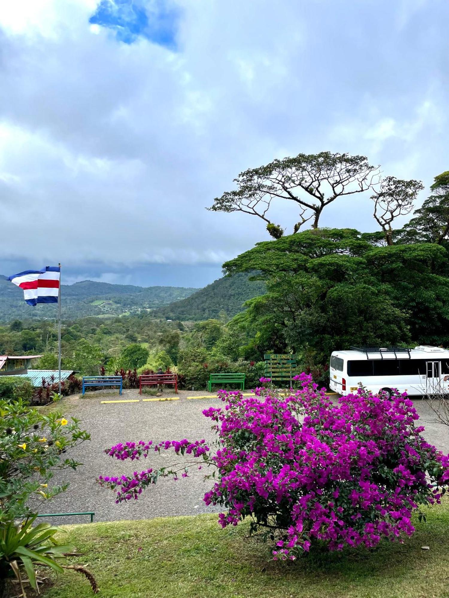 Heliconias Rainforest Lodge 비자구아 외부 사진
