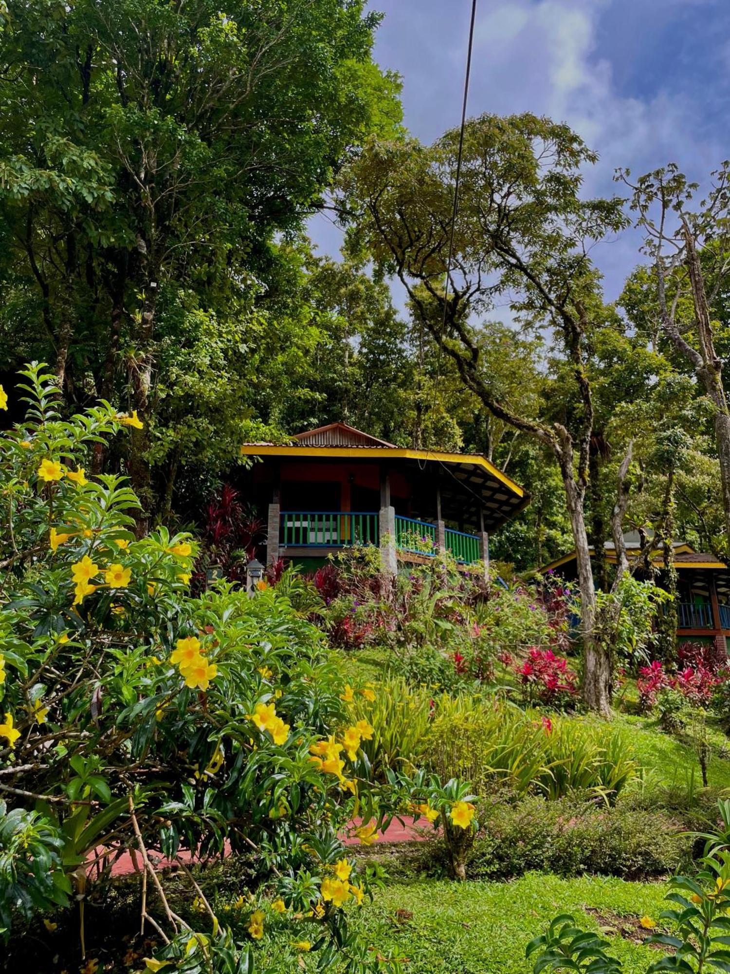 Heliconias Rainforest Lodge 비자구아 외부 사진