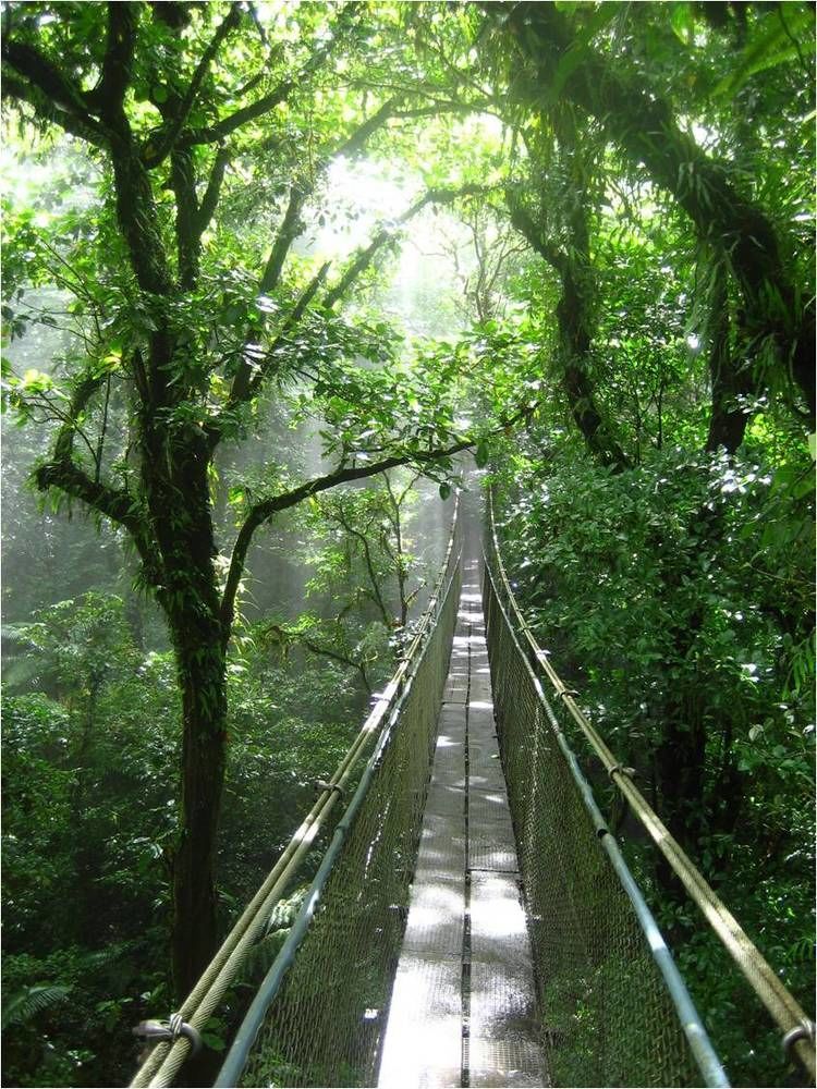 Heliconias Rainforest Lodge 비자구아 외부 사진