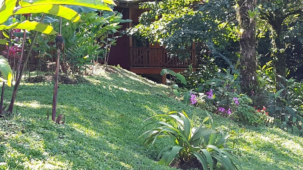 Heliconias Rainforest Lodge 비자구아 외부 사진